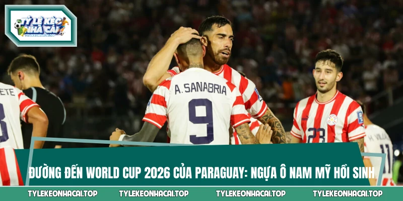 Đường Đến World Cup 2026 Của Paraguay: Ngựa Ô Nam Mỹ Hồi Sinh