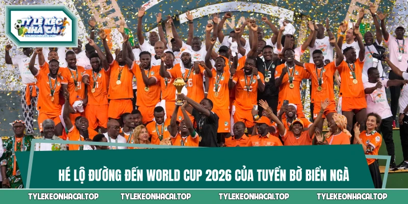 Hé Lộ Đường Đến World Cup 2026 Của Tuyển Bờ Biển Ngà