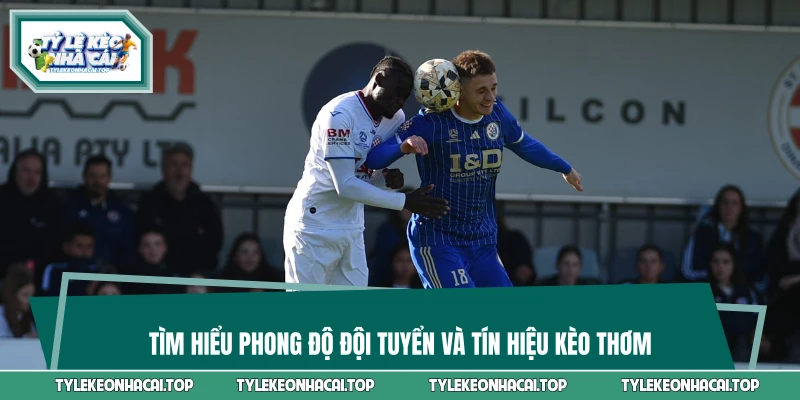 Tìm hiểu phong độ đội tuyển và tín hiệu kèo thơm