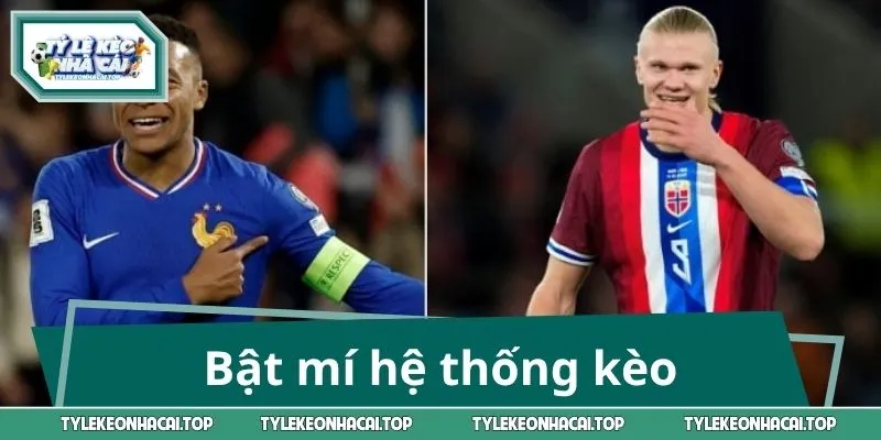 Bật mí hệ thống kèo mang lại lợi nhuận cao