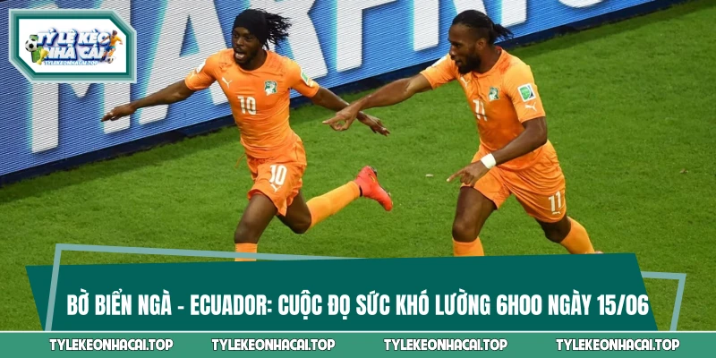 Bờ Biển Ngà Vs Ecuador: Cuộc Đọ Sức Khó Lường 6h00 Ngày 15/06