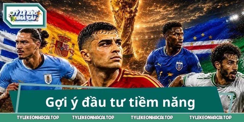 Gợi ý đầu tư tiềm năng nhất