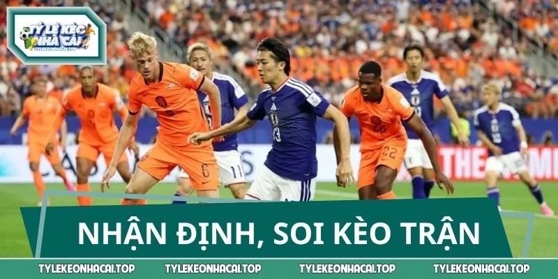 Chuyên gia soi kèo trận đấu giữa Hà Lan vs Thụy Điển