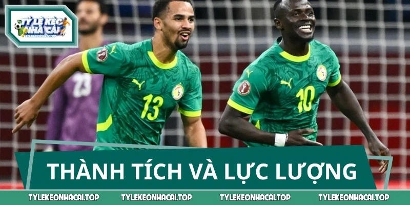 Chuyên gia nhận định thành tích gần đây của Na Uy vs Senegal