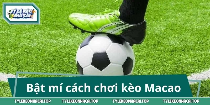 Bật mí cách chơi kèo Macao cực hiệu quảBật mí cách chơi kèo Macao cực hiệu quả